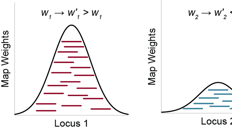 Sequence deeper without sequencing more: Bayesian resolution of ambiguously mapped reads